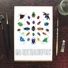 Load image into Gallery viewer, Coleoptera Beetle Art Print