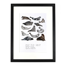 Load image into Gallery viewer, Bob of Seals Art Print