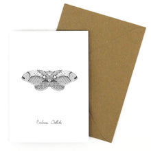 Load image into Gallery viewer, Archaeolepis Owl Moth Greetings Card