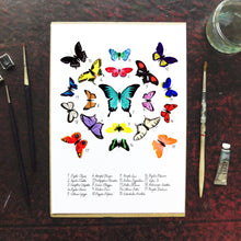 Load image into Gallery viewer, Lepidoptera Butterfly Art Print