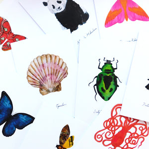 Lepidoptera Luna Moth Greetings Card