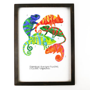 Camouflage of Chameleons Art Print