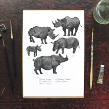 Load image into Gallery viewer, Crash of Rhinos Art Print