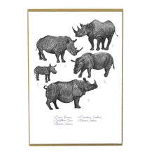 Load image into Gallery viewer, Crash of Rhinos Art Print