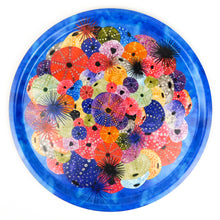 Load image into Gallery viewer, Echinozoa Sea Urchin Print Round Tray