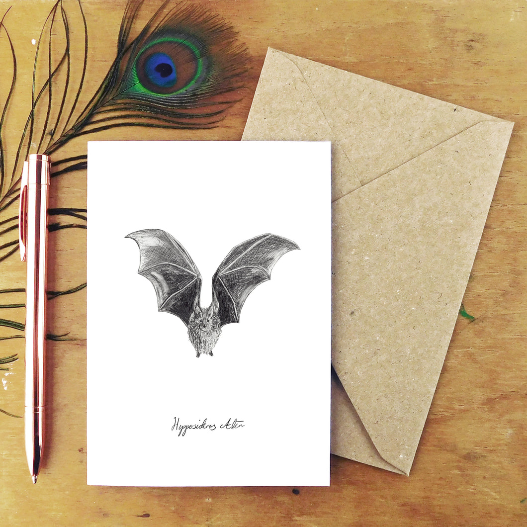 Chiroptera Dusky Leaf-Nosed Bat Greetings Card