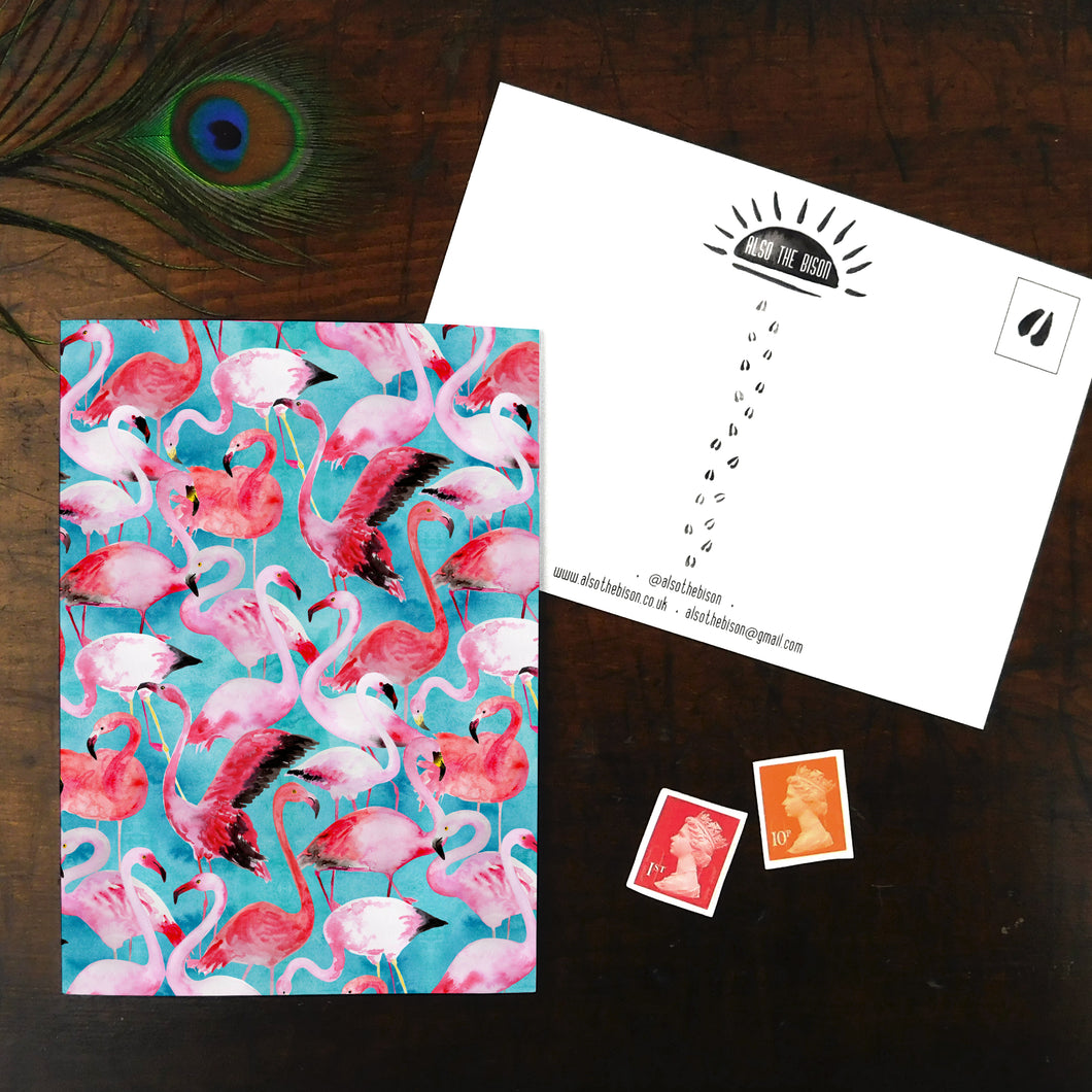 Flamboyance of Flamingos Print Postcard