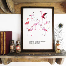 Load image into Gallery viewer, Flamboyance of Flamingos Art Print