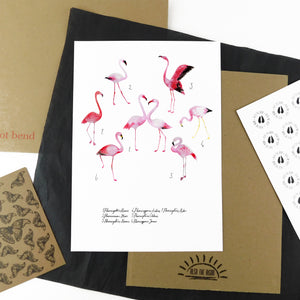 Flamboyance of Flamingos Art Print