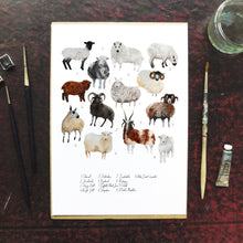 Load image into Gallery viewer, Flock of Sheep Art Print