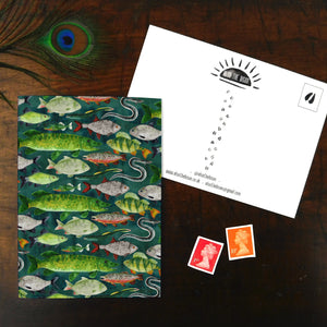 Flumens Freshwater Fish Print Postcard