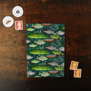Flumens Freshwater Fish Print Postcard