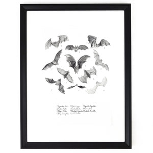 Chiroptera Bat Art Print