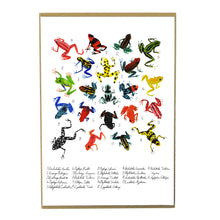 Load image into Gallery viewer, Dendrobatidae Dart Frog Art Print
