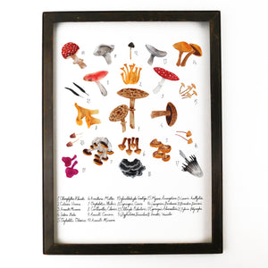 Fungi Art Print