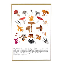 Load image into Gallery viewer, Fungi Art Print
