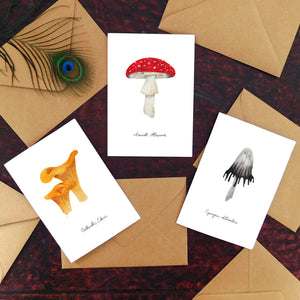 Fungi Ink Cap Mushroom Greetings Card
