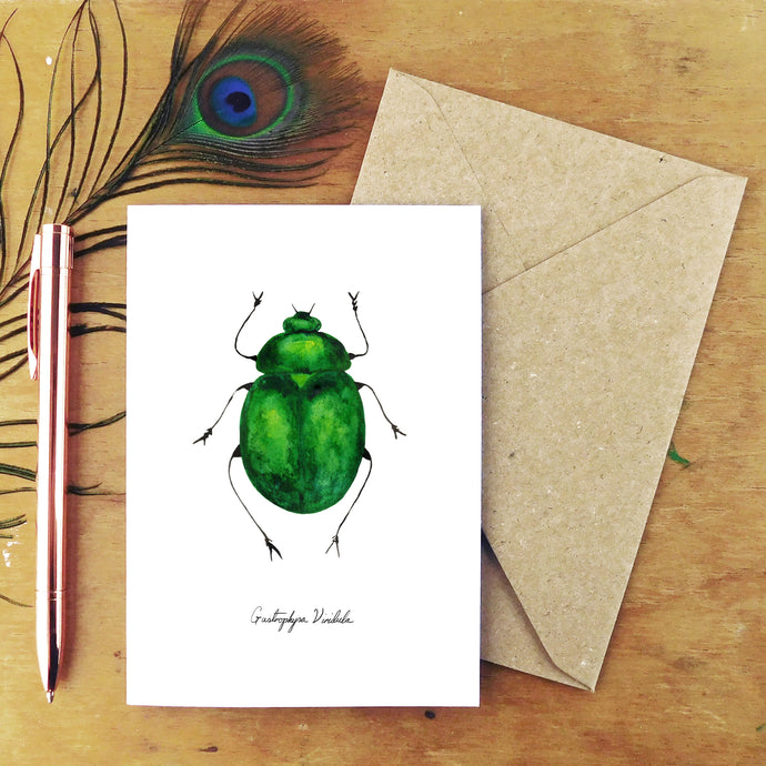 Coleoptera Green Beetle Greetings Card
