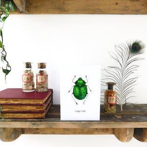 Coleoptera Green Beetle Greetings Card
