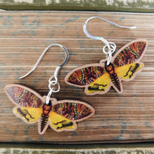 Load image into Gallery viewer, Lepidoptera Death&#39;s Head Hawkmoth Earrings