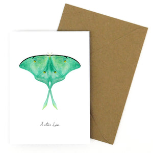 Lepidoptera Luna Moth Greetings Card