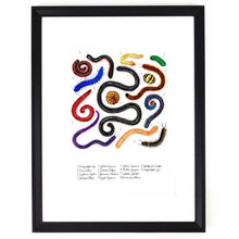 Load image into Gallery viewer, Myriapoda Millipede Art Print