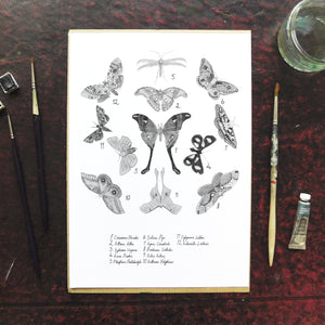 Archaeolepis Moth Art Print