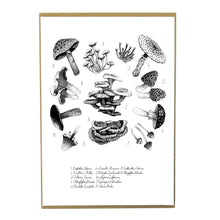 Load image into Gallery viewer, Mushroom Art Print