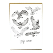 Load image into Gallery viewer, Parliament of Owls Art Print