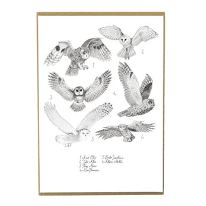 Parliament of Owls Art Print