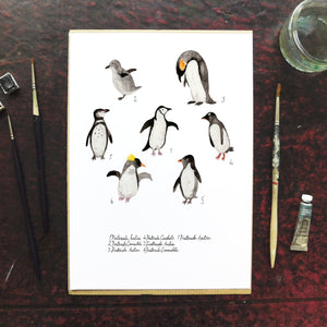 Waddle of Penguins Art Print
