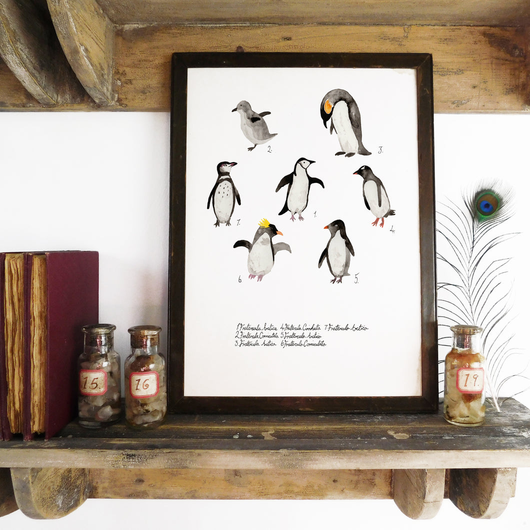 Waddle of Penguins Art Print