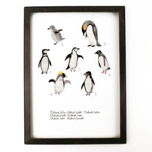 Load image into Gallery viewer, Waddle of Penguins Art Print