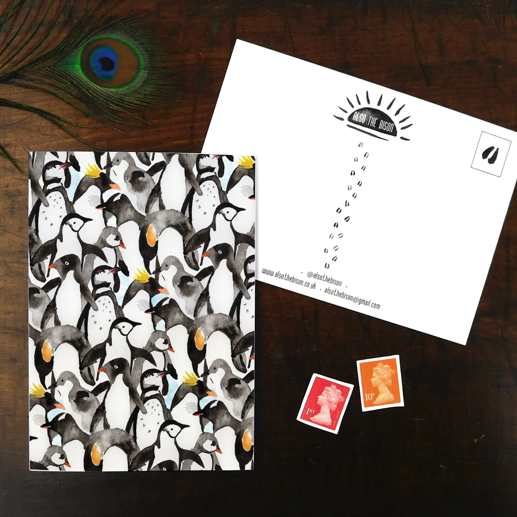 Waddle of Penguins Print Postcard