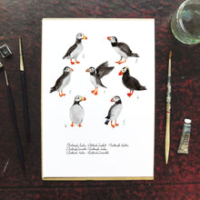 Load image into Gallery viewer, Improbability of Puffins Art Print