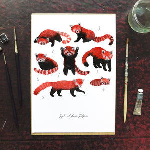 Pack of Red Pandas Art Print