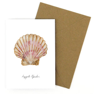 Conchae Scallop Shell Greetings Card