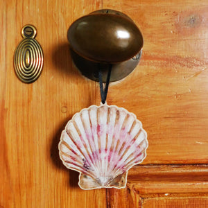 Conchae Scallop Shell Wooden Hanging Decoration