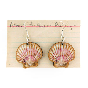 Conchae Scallop Shell Earrings
