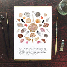 Load image into Gallery viewer, Conchae Sea Shell Art Print