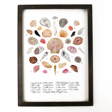 Load image into Gallery viewer, Conchae Sea Shell Art Print