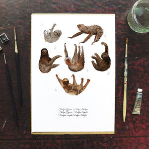 Sleuth of Sloths Art Print