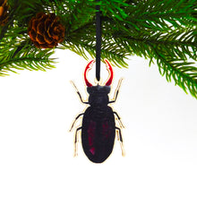 Load image into Gallery viewer, Coleoptera Stag Beetle Wooden Hanging Decoration