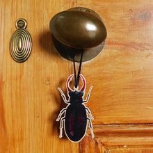 Load image into Gallery viewer, Coleoptera Stag Beetle Wooden Hanging Decoration