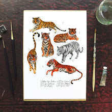 Load image into Gallery viewer, Streak of Tigers Art Print