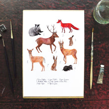 Load image into Gallery viewer, Sylvan Forest Animals Art Print