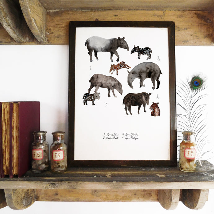 Candle of Tapirs Art Print