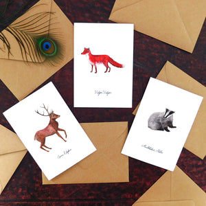 Woodland Animal Specimens Greetings Card Pack