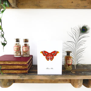 Lepidoptera Atlas Moth Greetings Card
