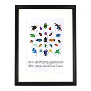 Coleoptera Beetle Art Print